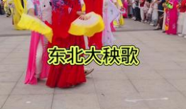 东北大秧歌视频,欢腾冬日盛宴